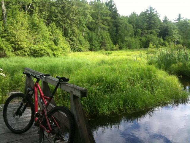 Peaceful